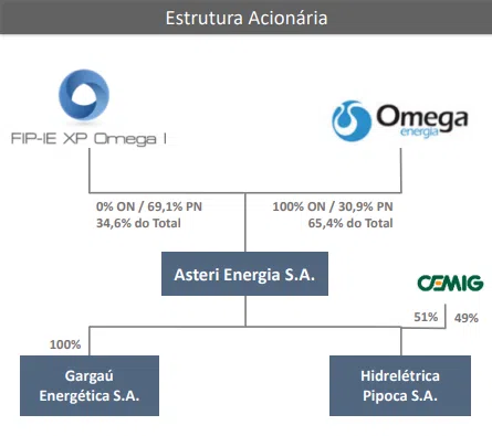 Estrutura acionária do FIP 