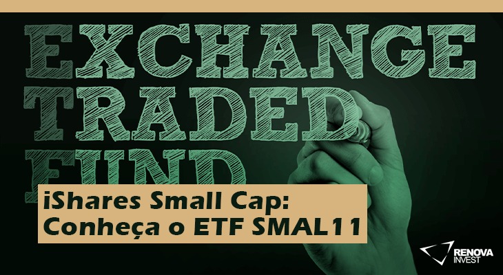 iShares Small Cap: Conheça o ETF SMAL11