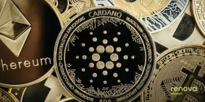 Cardano