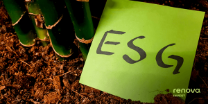 ESGE11: conheça o ETF ESG dos mercados emergentes