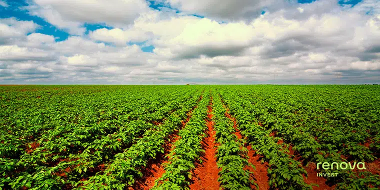 Fundo Vitreo Agro FIM