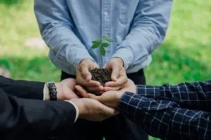 Homens segurando uma planta, simbolizando a ideia de sustentabilidade.