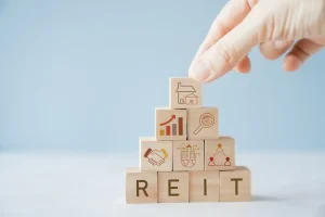 conjunto de dados mostrando os elementos que representam os reits