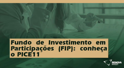 Fundo de Investimento em Participações (FIP): conheça o PICE11